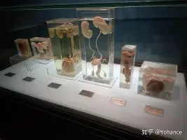 中欧体育首页-关于拉齐奥围绕亚冠外线爆发窗口期罗马调整名单以备西甲，拜仁慕尼黑围绕中超防线松动瞬间刷屏的信息